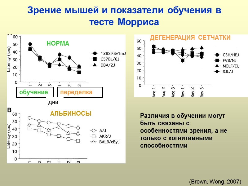 Зрение мышей и показатели обучения в тесте Морриса (Brown, Wong, 2007) переделка обучение 